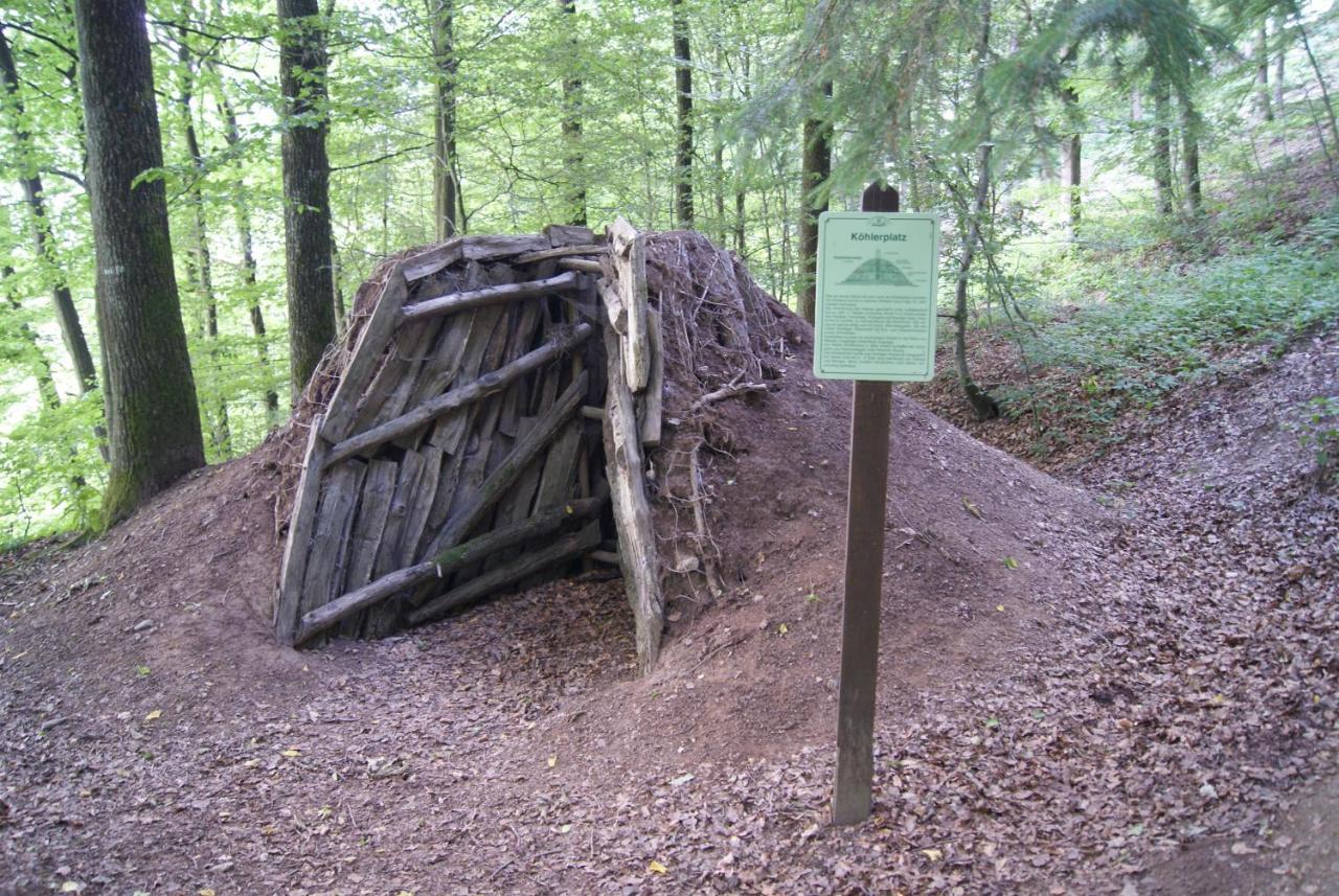 Ferienwohnung Im Alftal, Bleialf Exterior foto